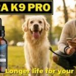 Ultra K9 Pro - Is Ultra K9 Pro Safe Dog 