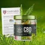 10 Apps to Help You Manage Your Evergreen CBD Gummies 