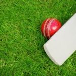 Reddy Anna: A Comprehensive Guide to Online Cricket and Sports ID