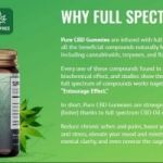 Blue Vibe CBD Gummies Reviews – Are They Legitimate Or Trusted? Really Work?
