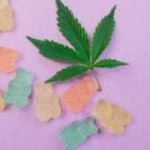 Knowing These 9 Secrets Will Make Your Euphoria Green Cbd Gummies Look Amazing