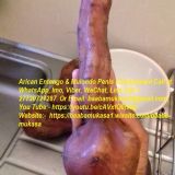 Do you have to keep using these penis enlargements? Call WhatsApp Baaba Mukasa on +27730727287