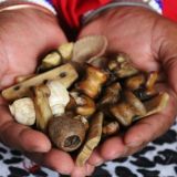 SANGOMA【+27826623707】⓶TRADITIONAL HEALER  In  Tzaneen , Uitenhage , Ulundi , Umtata , Upington , Utrecht , Vanderbijlpark 