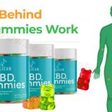 Green Spectrum CBD Gummies Scam Exposed Pros, Cons, Working & Peak