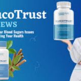 Seven Doubts You Should Clarify About GlucoTrust!