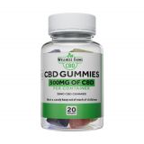 I Tried These choice CBD Gummies For The First Time.