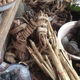 TRADITIONAL HEALER【+27608019525】⓶ SANGOMA  In Sandton , Siyabuswa , Somerset East , South Africa, Soweto , Springbok ,Springs 