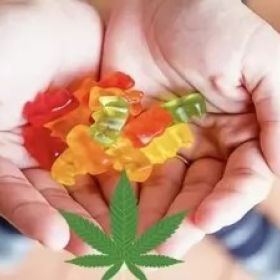  Hemp labs CBD Gummies 