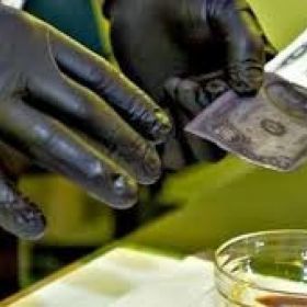 SSD BLACK MONEY CLEANING SERVICES+256708536477, PRODUCTS AND ACTIVATING MACHINE