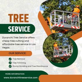Cheap Tree Cutting Service | Affordable Tree Service Las Vegas