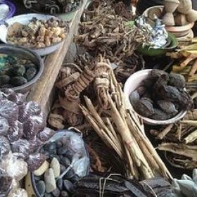 TRADITIONAL DOCTOR / HEALER  +27781103436 IN 