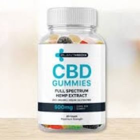 Plant Medix CBD Gummies: A Natural Solution for Wellness 