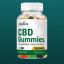 Do the Choice CBD Gummies Have Any Side Effects?