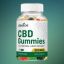 Choice CBD Gummies Reviews - (Scam Or Legit) Get 100% Effective Results!