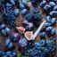 Blue Foods: Unveiling Nature's Vibrant Culinary Creations