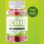 EarthMed CBD Gummies: Your Daily Source of Calm