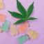 Knowing These 9 Secrets Will Make Your Euphoria Green Cbd Gummies Look Amazing