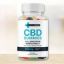 Plant Medix CBD Gummies: A Natural Solution for Wellness 