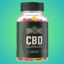 https://green-street-cbd-gummies-reviews-customer-feedback-read-no-49bc.sites.kaltura.com/